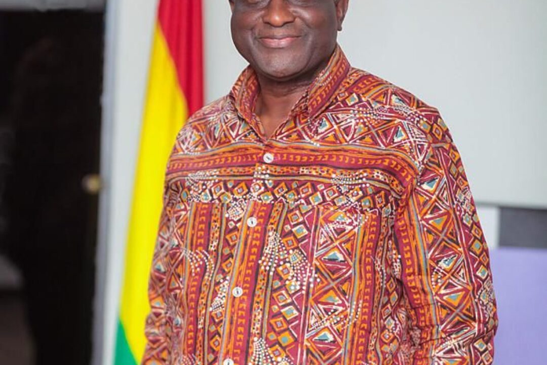 AHEAD OF 2024: “NO ALAN, NO VOTE” NPP GRASSROOT WOMAN WARNS