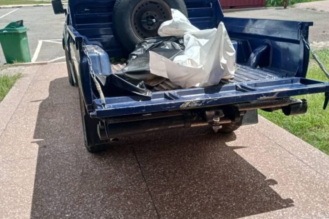 A/R: Man allegedly butchers teenager, pregnant woman to death at Tepa