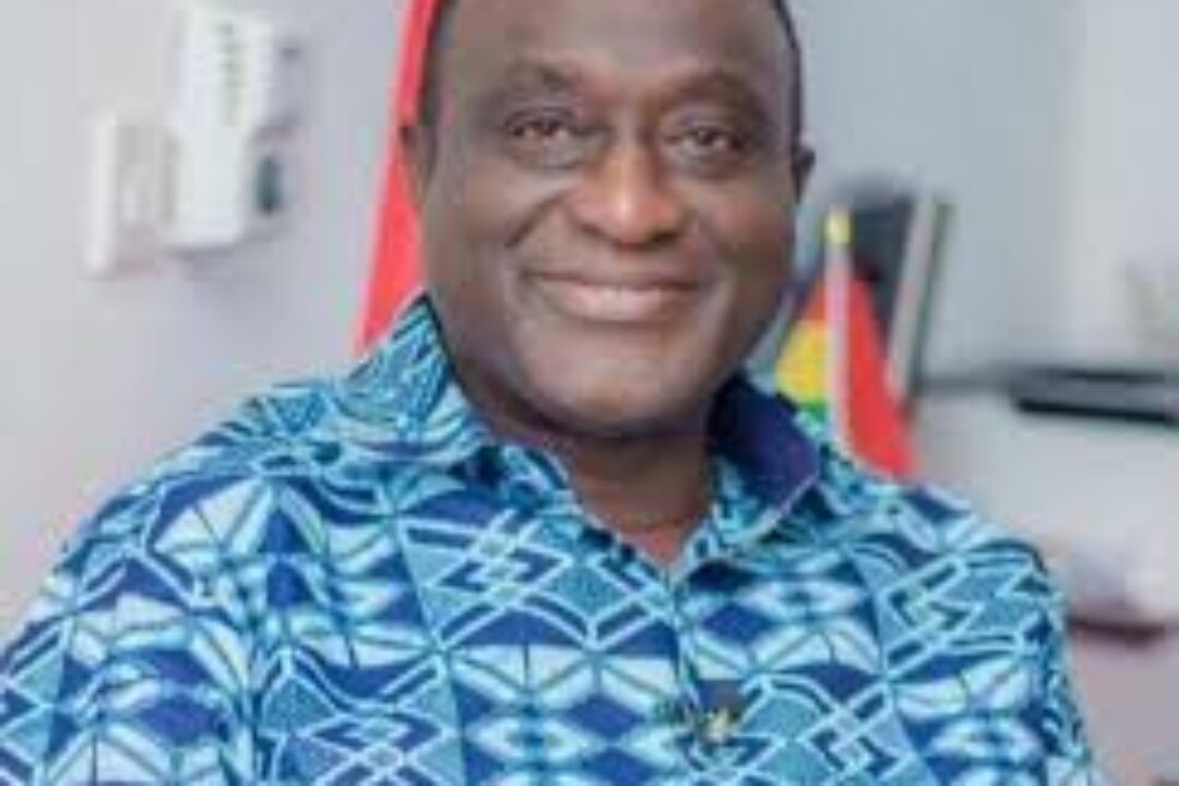 I’ll review Free SHS policy if elected – Alan K declares