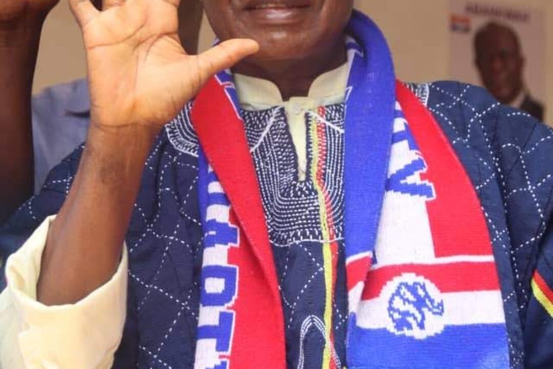 FULL LIST OF ELECTED NATIONAL EXECUTIVES OF THE NPP