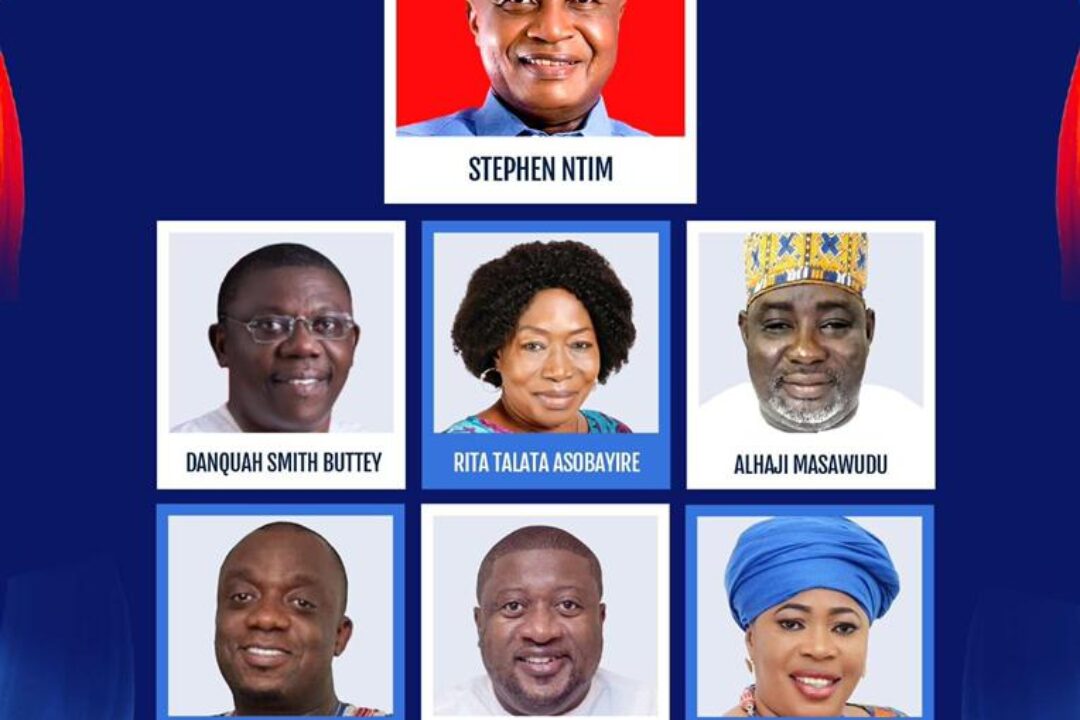 Blow by Blow account of how NPP delegates elected new Executives