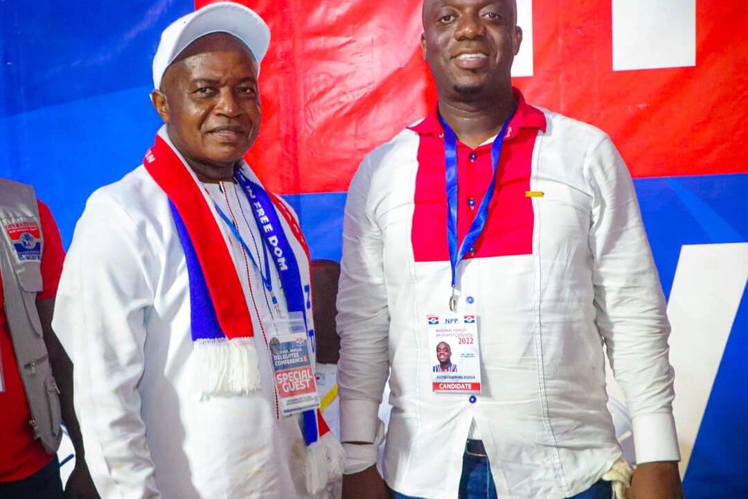 NPP showcases achievements to mark 30th anniversary