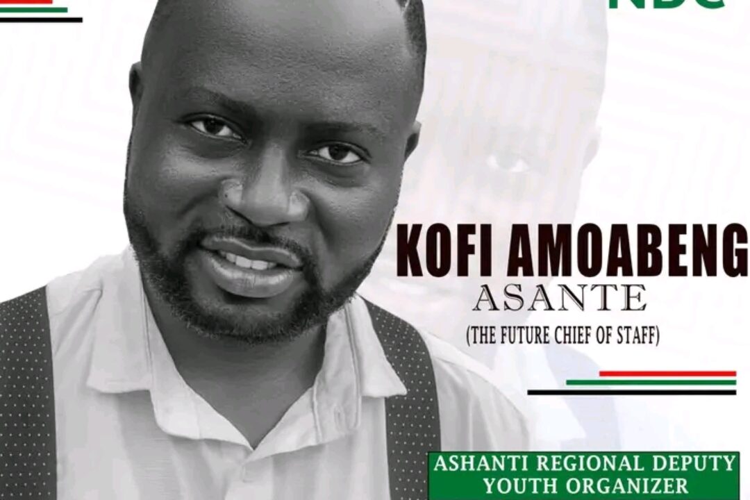 NDC internal Elections: Delegates root for Kofi Amoabeng as Dep.Regional Youth Organizer