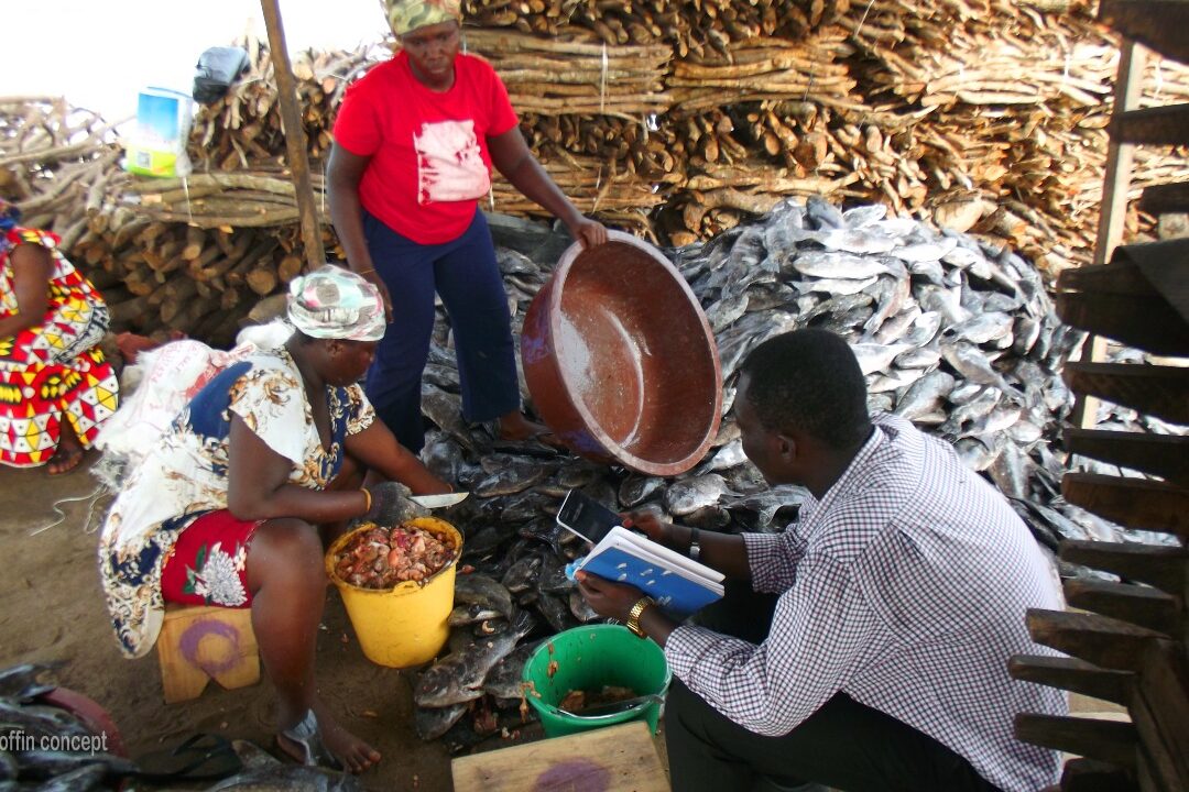 Fishing, a source of living for most women in Tema
