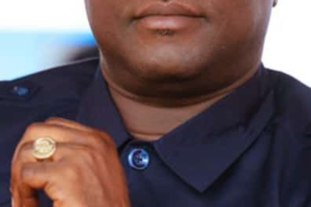 Election 2020 report never incriminated Nana Akwasi -Ambassador Ohene Agyekum clears air