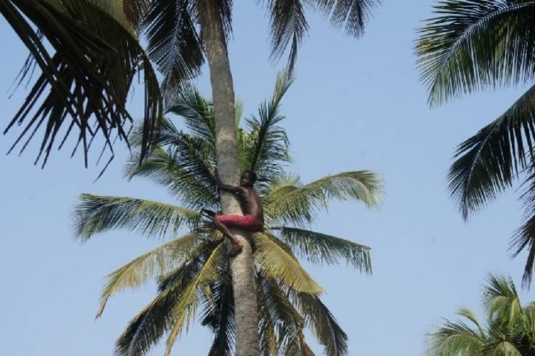 The New Gbugblaa: A haven of alluring sea-front resorts and generous folks