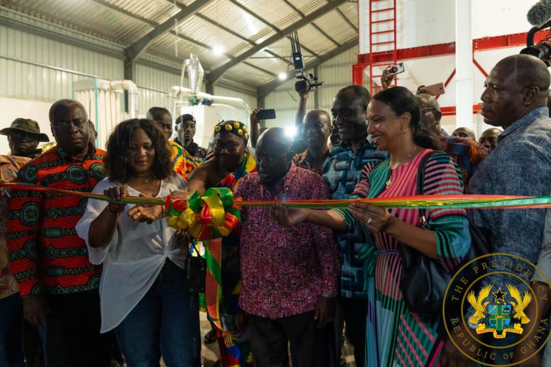 1D1F: AKUFO-ADDO COMMISSIONS MAIZE PROCESSING FACTORY IN NSUTA