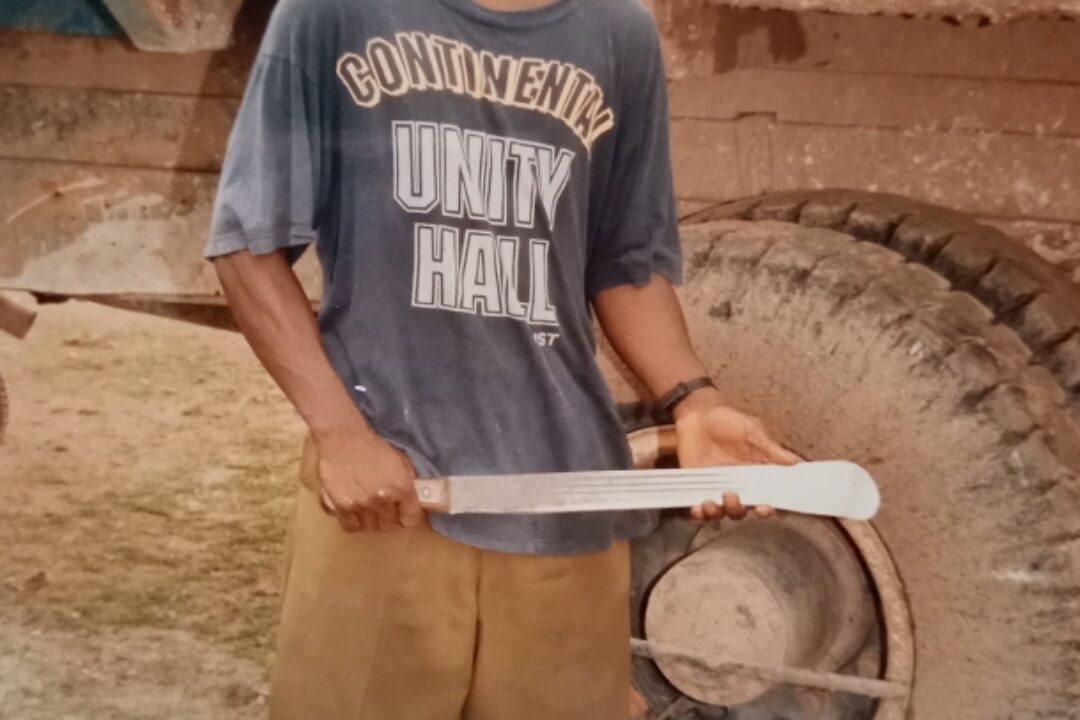 PROF.PETER TWUMASI WRITES ON THE NEED TO PROMOTE STUDENT JOBS IN AGRICULTURE AND ELSEWHERE