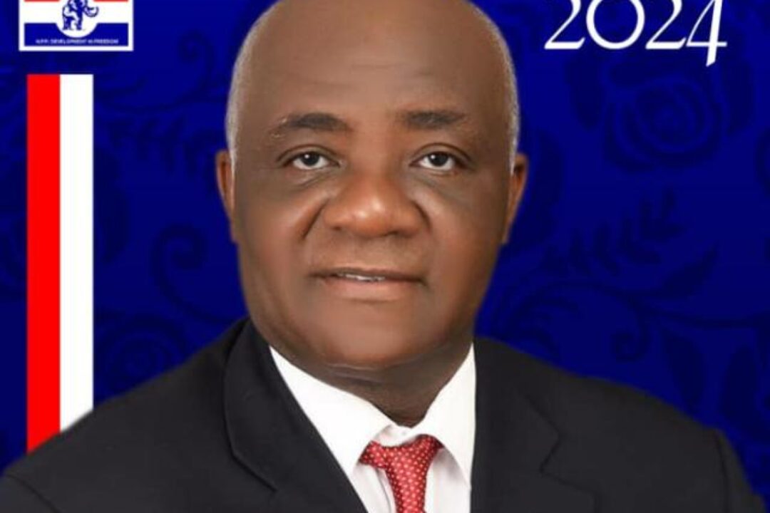 NPP GURU WRITES…The System needs a leader to install the hope back.