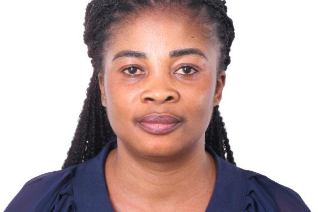 24 schools to participate in grand finale of  STEMNNOVATION contest