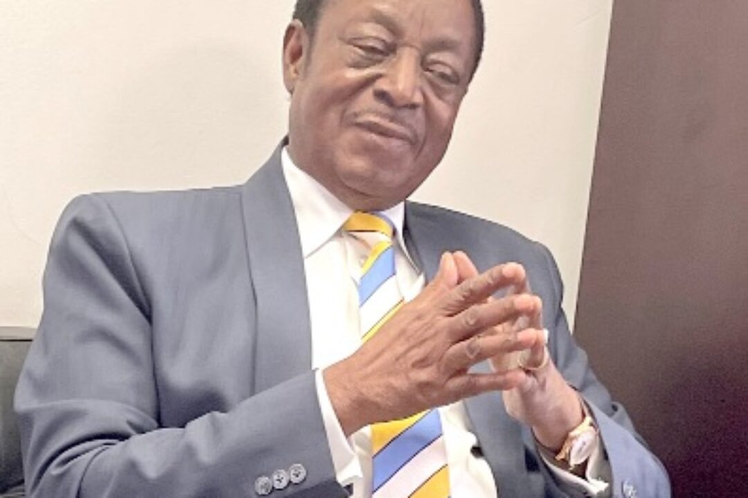2024 Polls:I’ll contest NDC flagbearership slot – Duffuor declares