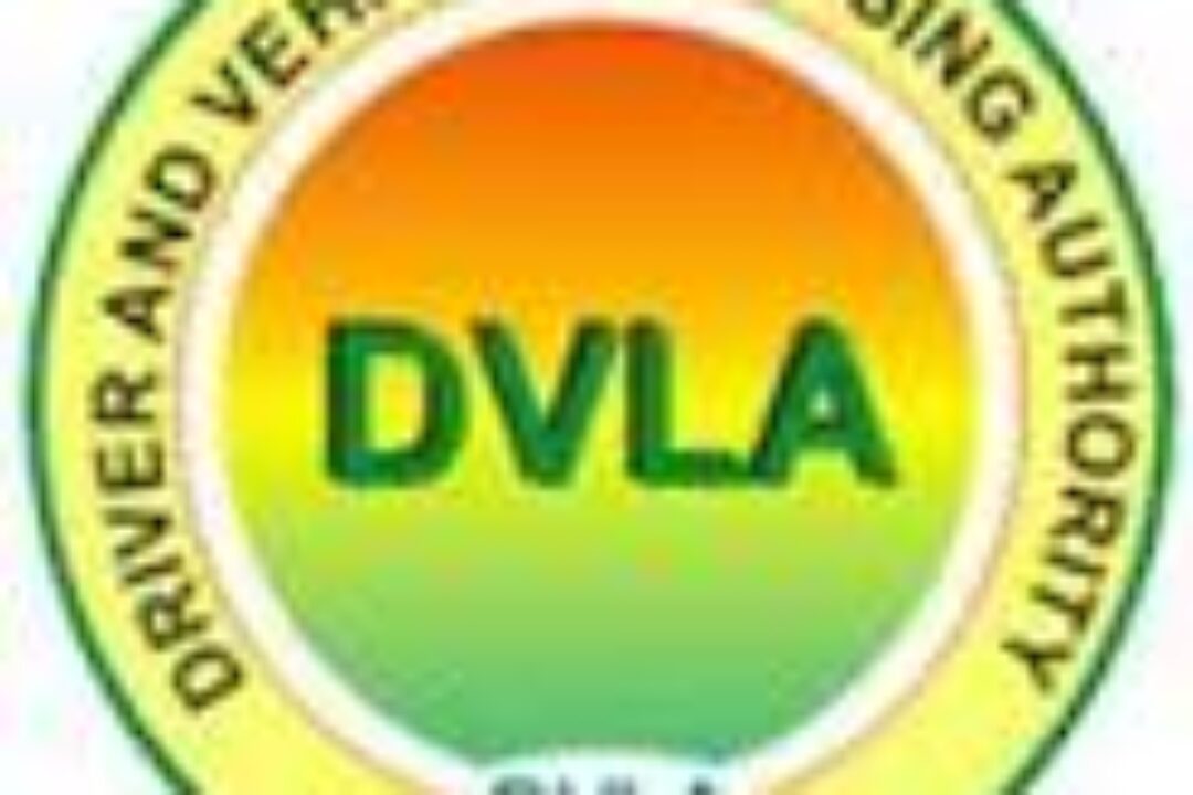 2023 VEHICLE REGISTRATION:DVLA publishes guidelines