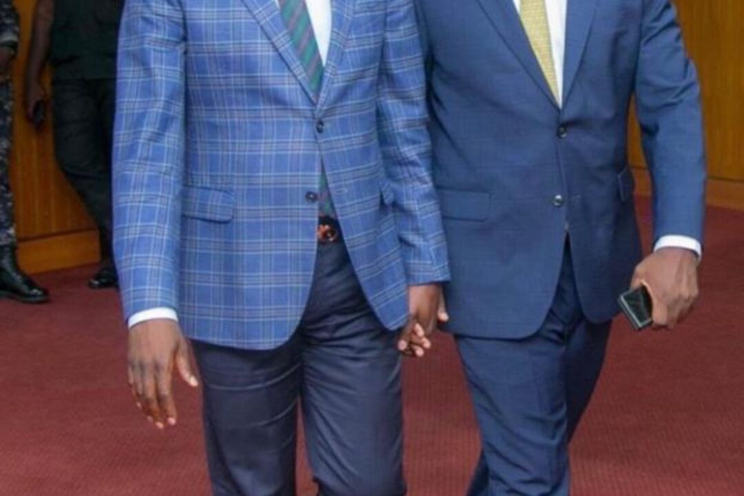 YOUR AGENDA AGAINST HARUNA WON’T WORK – Friends of Haruna to JDM