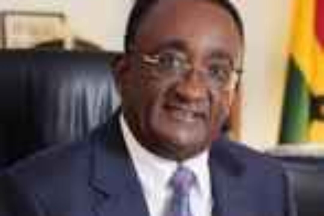 2024 POLLS:The youth need jobs, Agric sector holds the key – Dr. Afriyie Akoto