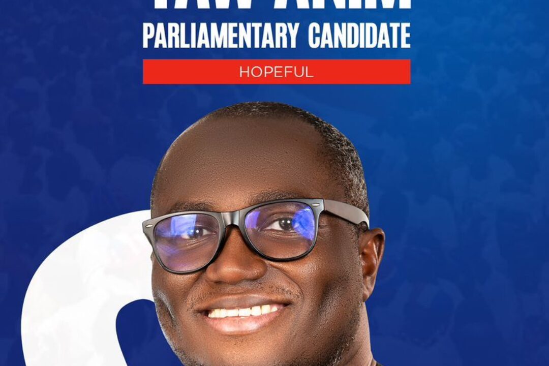 Ernest Yaw Anim wins Kumawu NPP primaries
