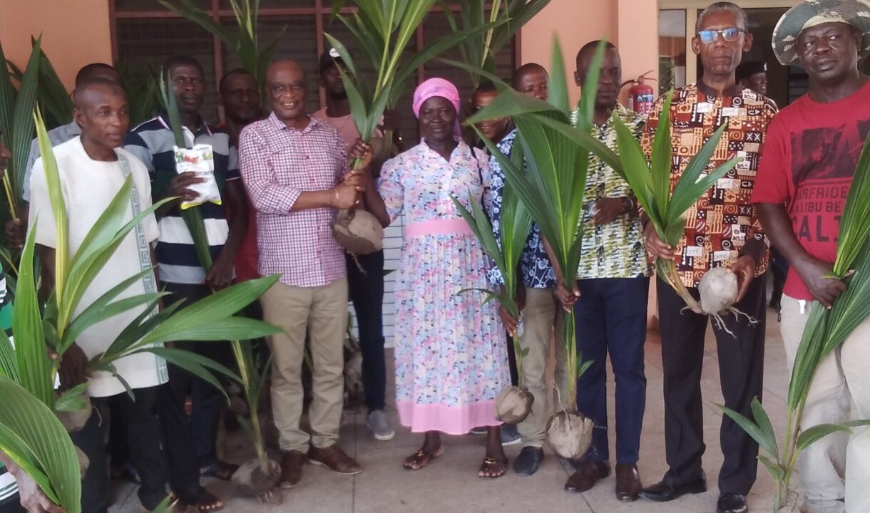 ASOKWA MUNICIPAL ASSEMBLY DISTRIBUTES 5000 HYBRID COCONUT SEEDLINGS TO FARMERS