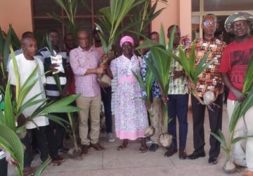 ASOKWA MUNICIPAL ASSEMBLY DISTRIBUTES 5000 HYBRID COCONUT SEEDLINGS TO FARMERS