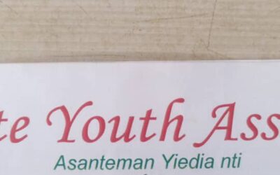 CALL MINISTER OF HEALTH TO ORDER- Asante Youth Association tells Presidency