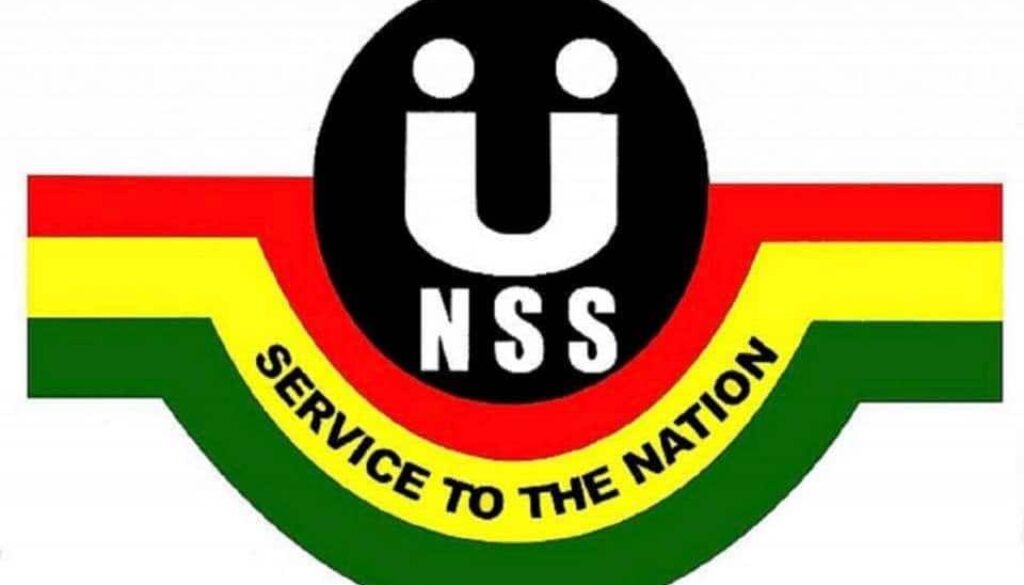 62df0b8cd10d2ac346500373_nss logo