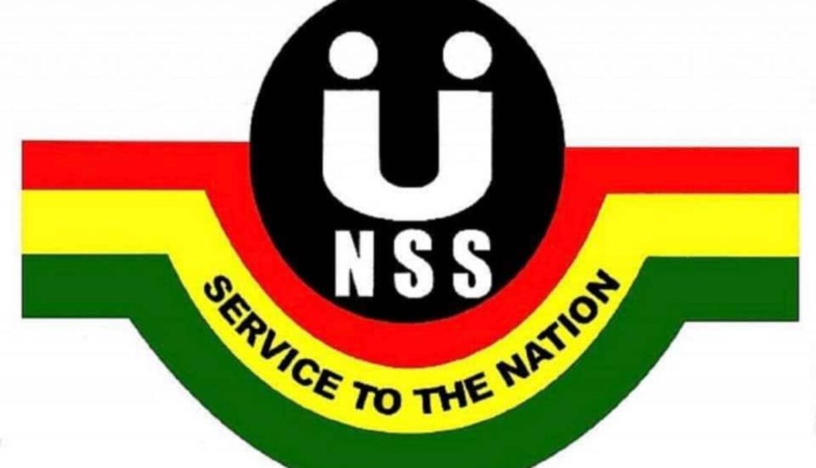 62df0b8cd10d2ac346500373_nss logo