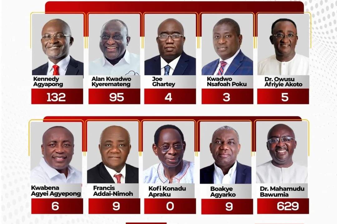 NPP EXTENDS GRATITUDE TO STAKEHOLDERS FOR EXEMPLARY SPECIAL ELECTORAL COLLEGE ELECTION