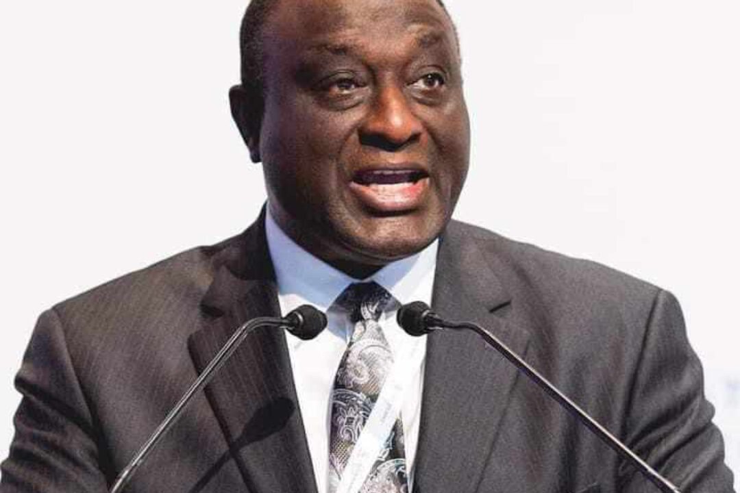 NPP Accepts Alan’s Decision to Pull out from Flagbearer Race