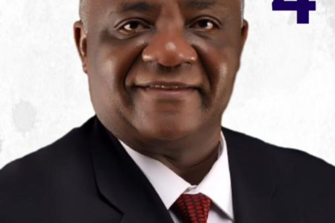 Nov.4 NPP Primaries:Unsung hero Addai-Nimoh draws support from Kufuor loyalists