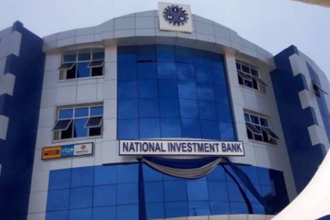 NPP Gov’t wants to sell NIB and ADB to cronies – Minority alleges