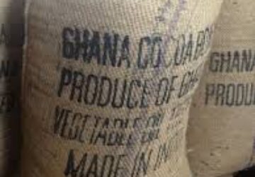 OFFICIAL:A Bag Of Cocoa Increases From GHC 800 To GHC 1,308 for 2023/2024 Cocoa Season
