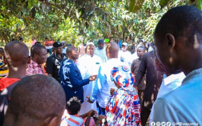 Don’t be distracted by recent happenings in NPP – Dr.Bawumia urges Members