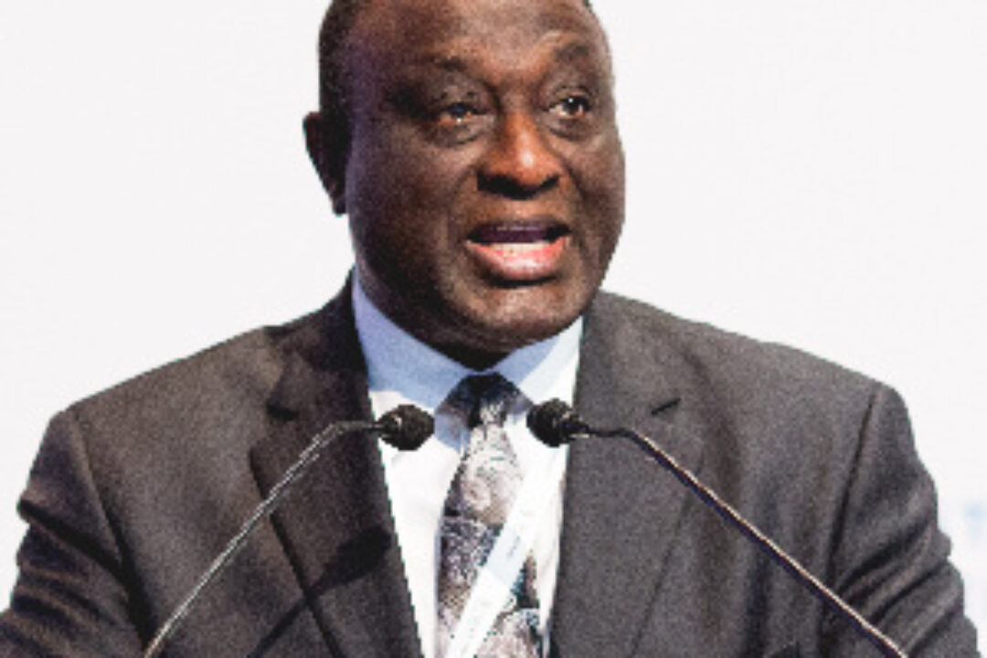 Ghana will process 60% of raw materials when I become president – Alan Kyerematen