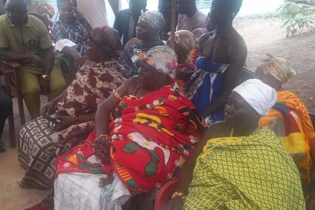 Adansihemaa Endorses Dr.Bawumia ahead of NPP’ Primaries,says he is a Critical Thinker