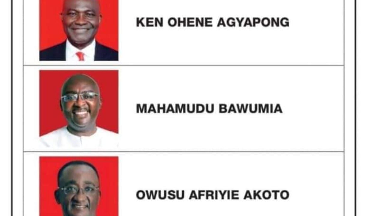 NPP Publishes Notice of Poll for Nov.4 Presidential Primaries