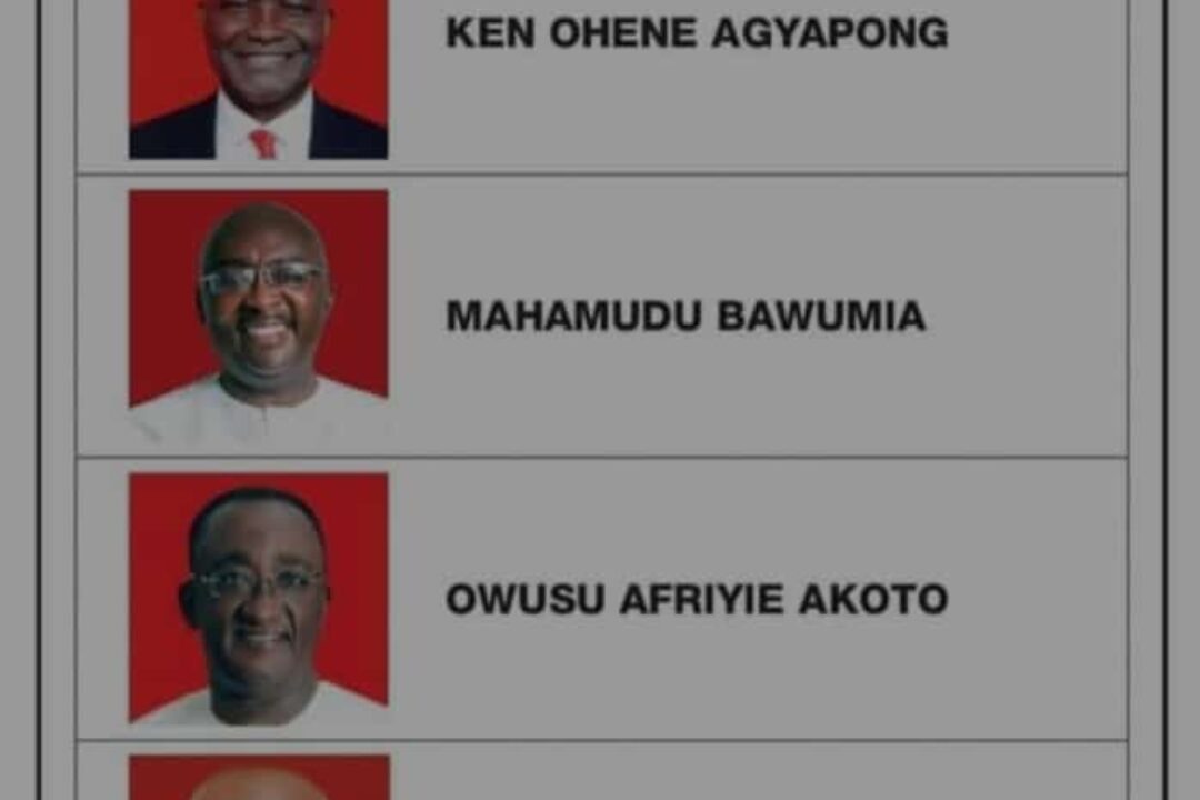 KUDOS TO ASHANTI DMB TEAM …as Mampong Delegates clear to Vote on Nov.4 NPP Presidential Primaries