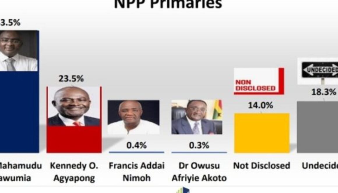 NPP-primaries_Bawumia_top-1-741x424-1-660x330