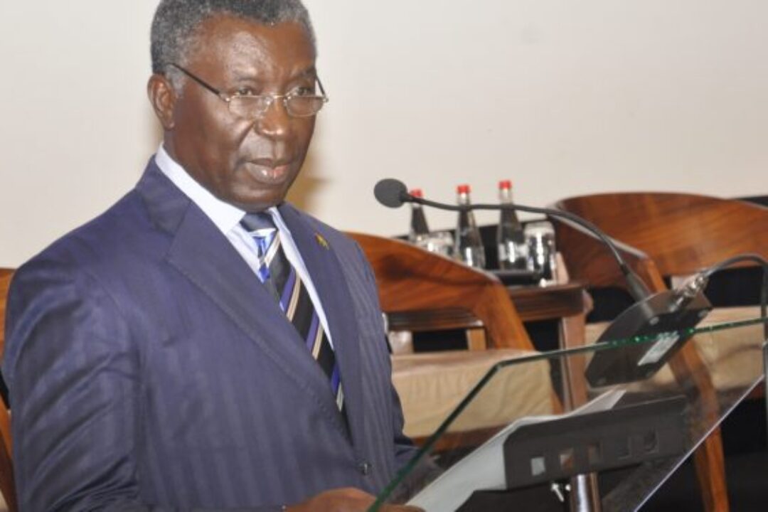 NPP serving Ghanaians with “family, friends, and concubines govt” – Prof.Frimpong-Boateng alleges