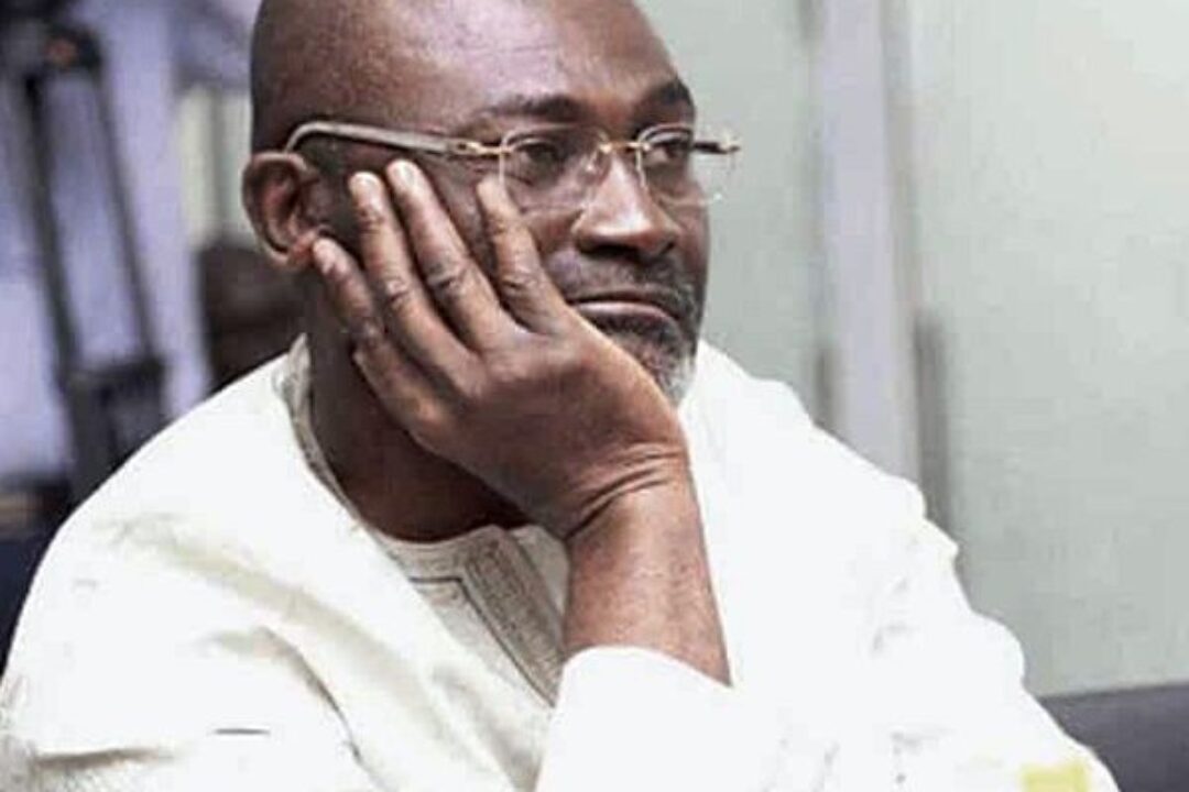 You Called NPP Members ‘Fools’ And Now Want Them To Elect You As Flagbearer? – Hawa Coomson fires Ken Agyapong