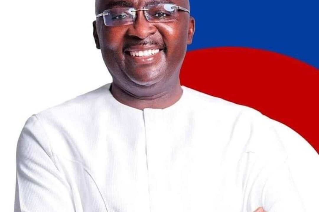 We can’t blame Dr. Bawumia for Ghana’s economic hardship – Majority Leader
