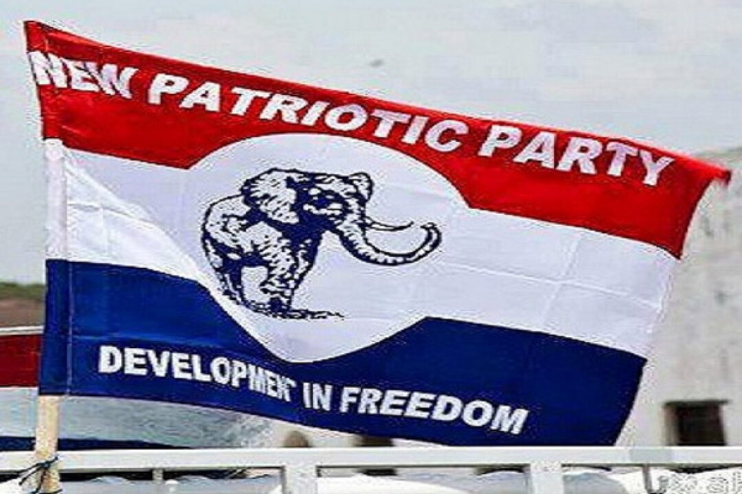 Stop campaigning for positions-NPP Council of Elders to supporters
