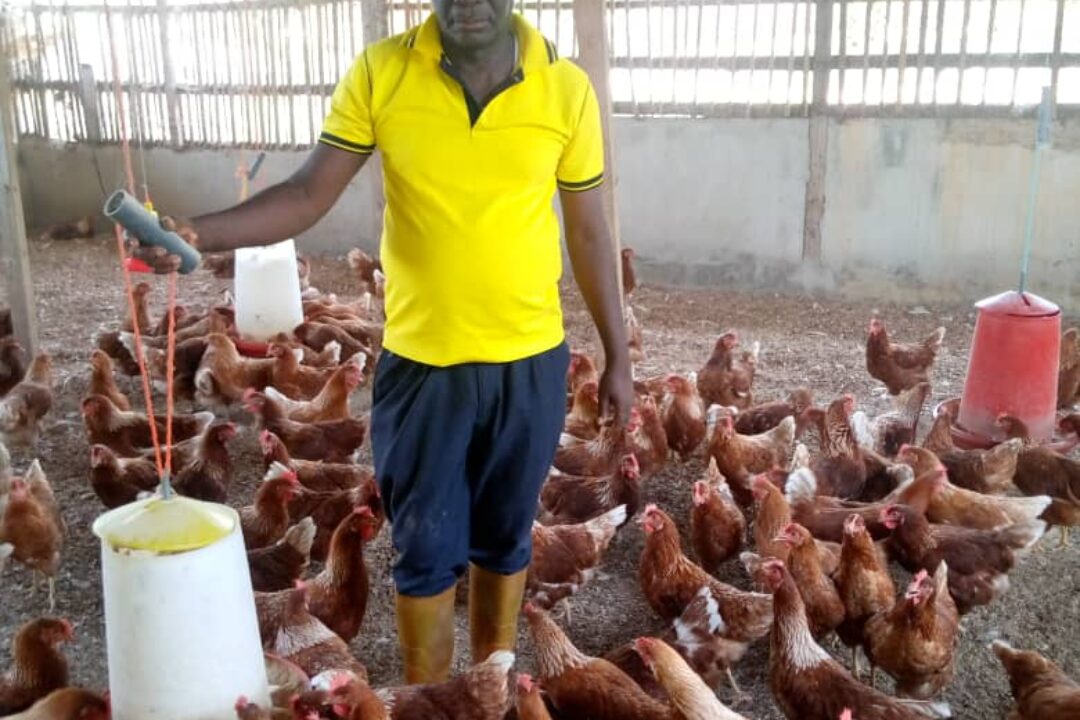 Bring Back Road Tolls to Mobilize funds-Gov’t told