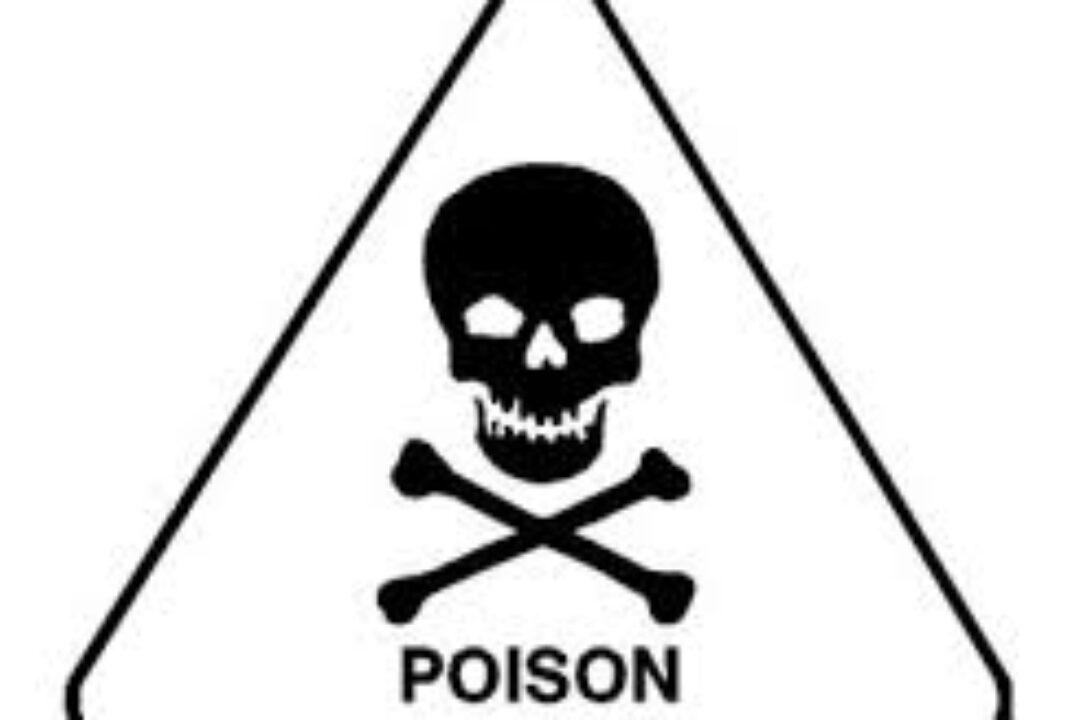HEALTH ALERT:Understanding Poison: Types, Symptoms, and Treatment