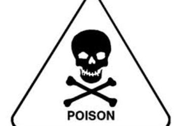 HEALTH ALERT:Understanding Poison: Types, Symptoms, and Treatment