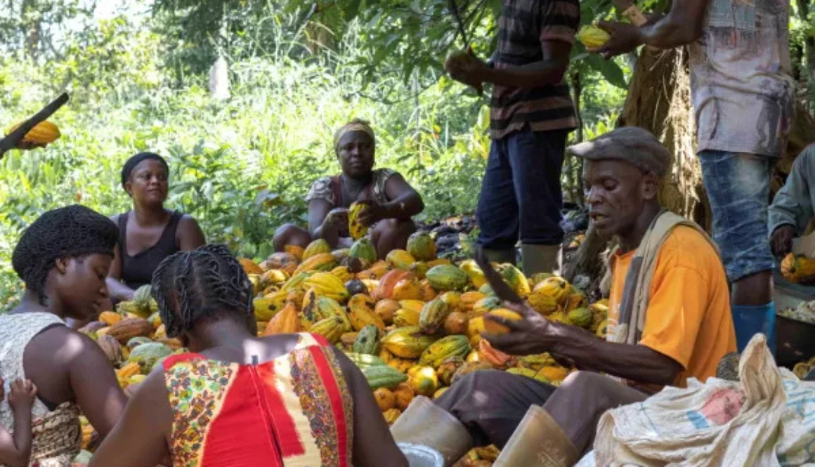 Cocoa360-cocoa-farmers-agri