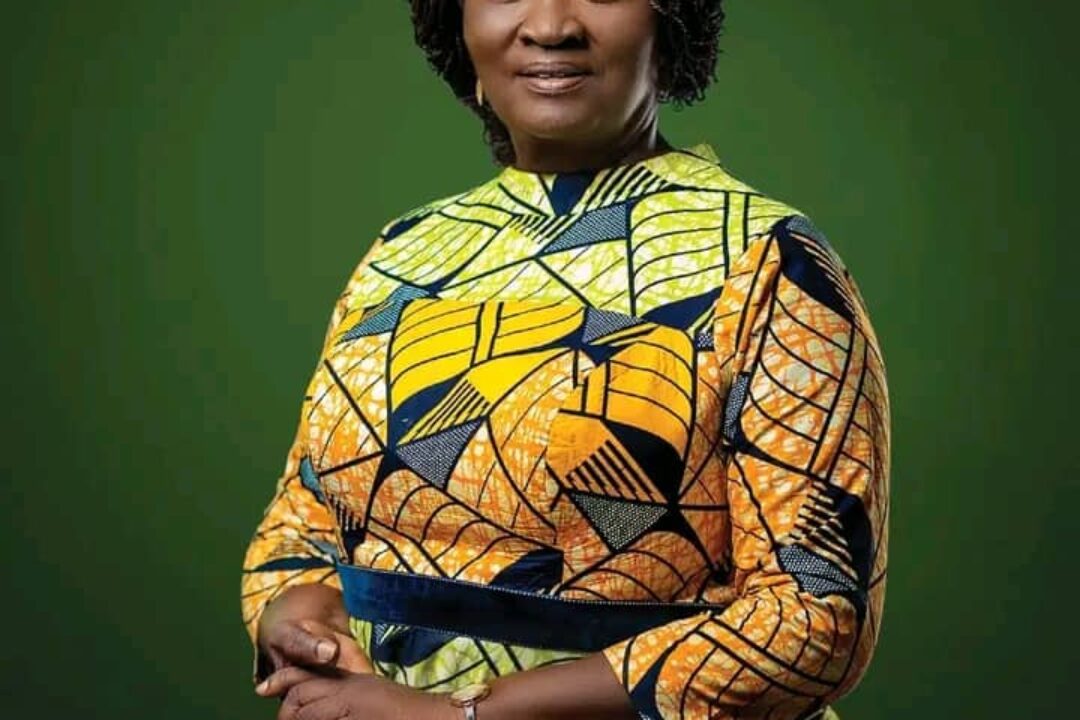 Prof Naana Jane Opoku Agyeman writes