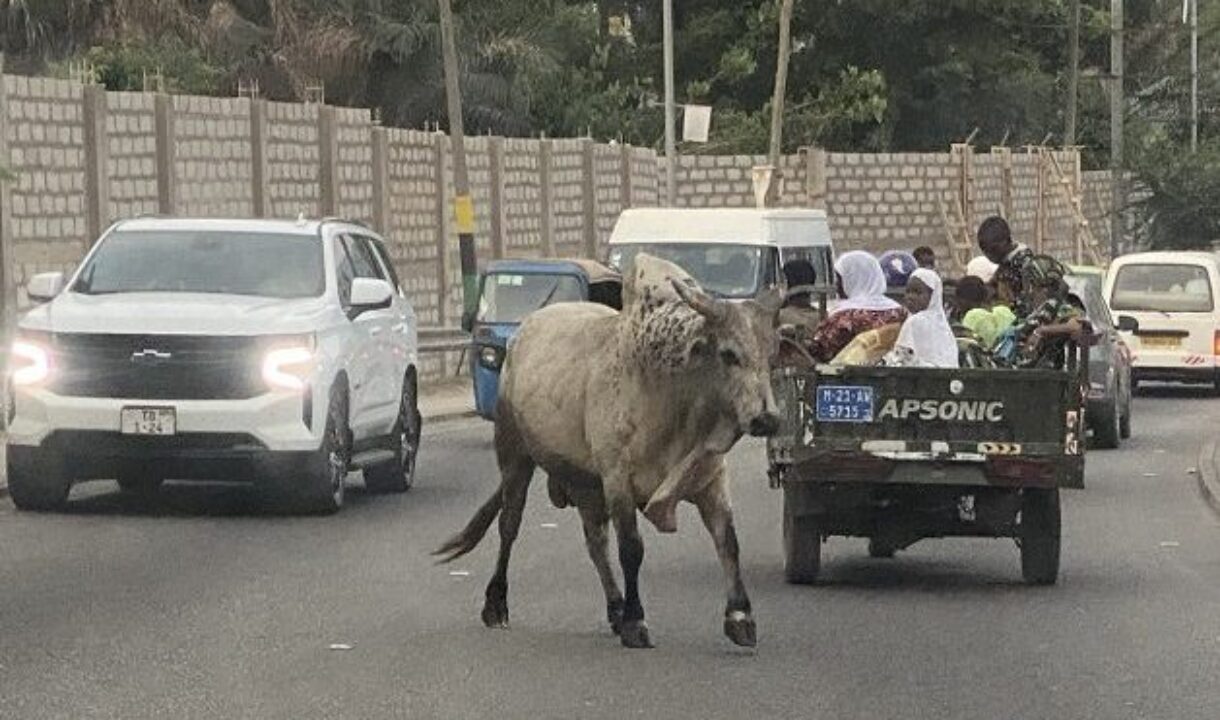 Ashanti REGSEC forms taskforce to clear Kumasi of stray cattle