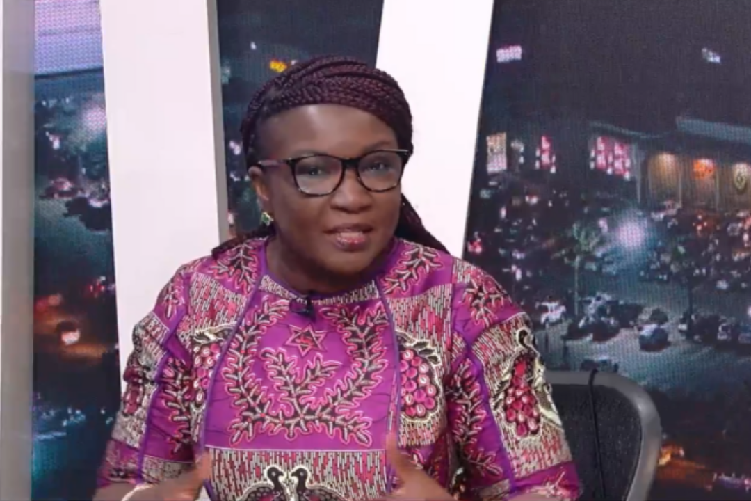 Mahama will still grant amnesty to convicted galamsey miners-Joyce Bawa-Mogtari