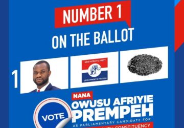Manhyia South NPP decides: Nana Owusu Afriyie Prempeh emerges as favourite to replace Napo