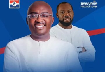 Bawumia/Napo ticket excellent for NPP – Akufo-Addo declares