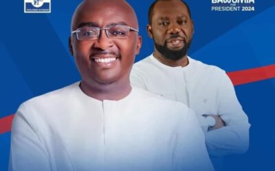 Bawumia/Napo ticket excellent for NPP – Akufo-Addo declares