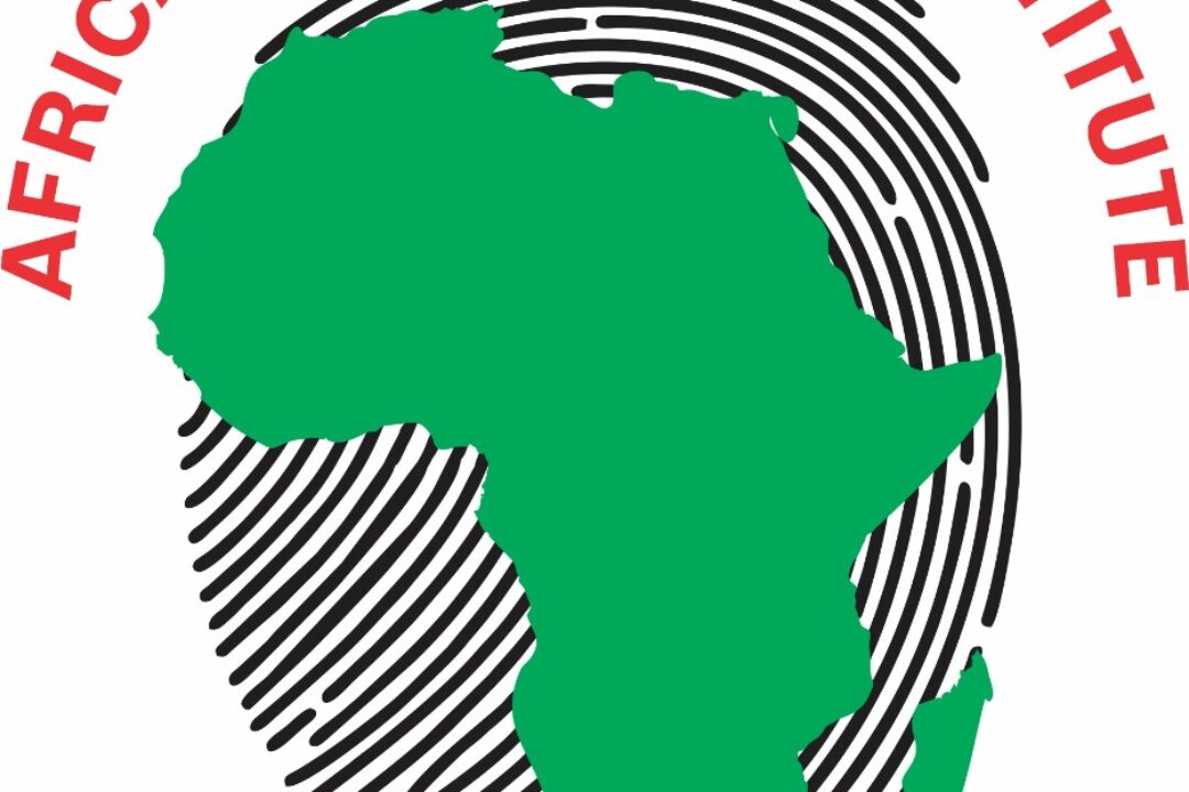 AFRICAN ELECTORAL INSTITUTE WISHES USA WELL IN THE UPCOMING ELECTIONS